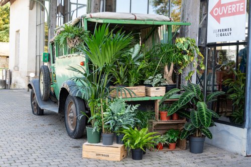 Connaissez-vous cette ferme extraordinaire à 30 minutes de Paris où cueillir vos fruits et légumes ?