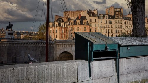 Une exposition de photo gratuite dévoile les portraits des bouquinistes des quais de Seine