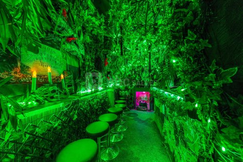 Un incroyable bar nous immerge dans la jungle au coeur de Paris !