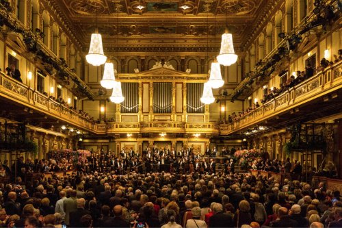 How I Orchestrate My Life - NewsBreak