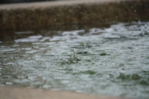 Paso Robles measures one inch of rainf over past 24 hours