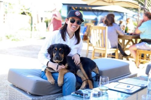 Wine 4 Paws to return this year with new events