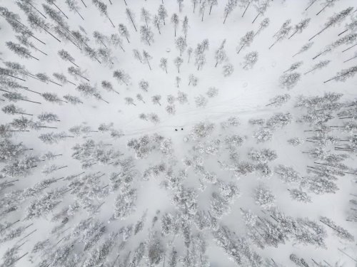 Die schönsten Abenteuer im Lappland Winterurlaub