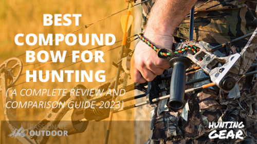 Best Compound Bows For Hunting: (A Complete Review & Comparison Guide 2023)
