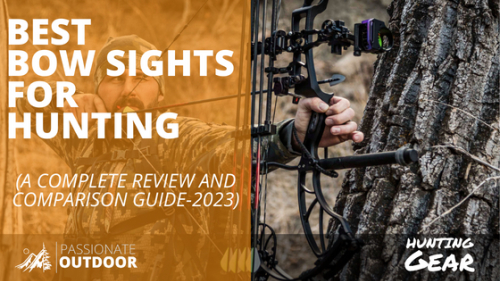 The Best Bow-Sight For Hunting: Complete Review & Comparison Guide 2023
