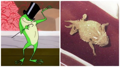 The Looney Tunes frog was based on a true story