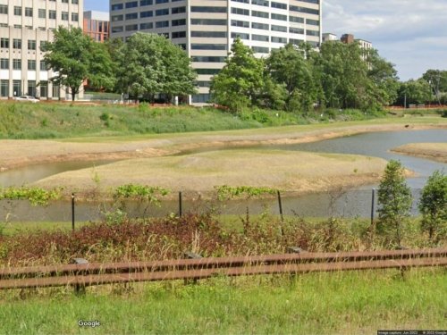 Arlington Opens Voting In Ballston Pond's New Name Competition