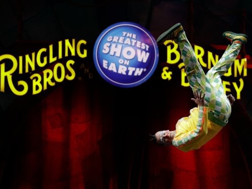 Ringling Bros. Circus Returns, Teacher Saves Student: FL Good News