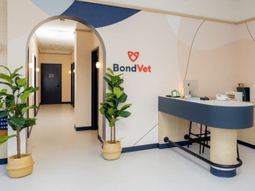 Bond Vet Opens New Clinic At Bethesda Row