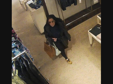 Woman Steals $7.5K Worth Of Clothing From Huntington Store: Police