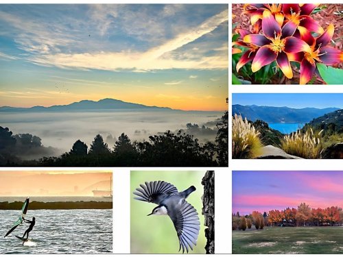 Mount Diablo At Daybreak | December Daylilies Bloom: CA In Photos