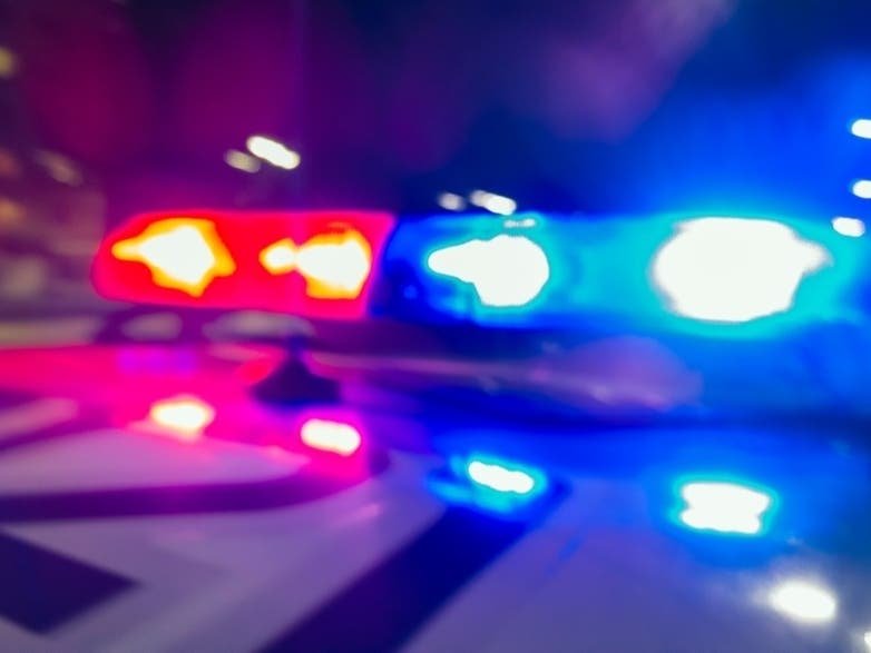 Dino Safari Drive Thru Adventure Coming To Freehold Raceway Mall Flipboard