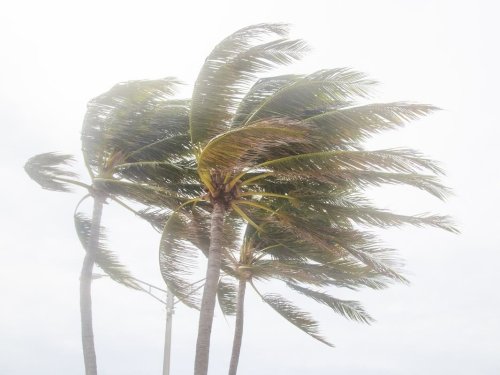 'Explosive' 2024 Hurricane Season Could Break Records: AccuWeather