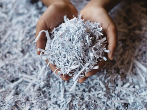 Free 'Paper Shredding Day' Returns In Essex County: What To Know