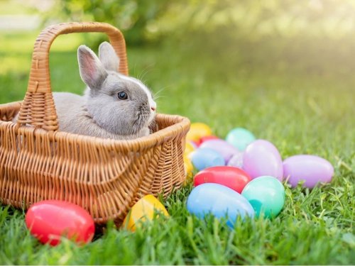 Easter In St. Pete 2024: Brunch Spots, Egg Hunts, Religious Services
