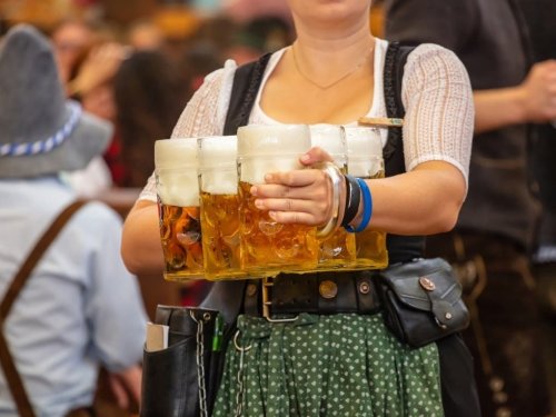 Oktoberfest, Anime St. Pete, Blessing Of Animals: FL Weekend Events
