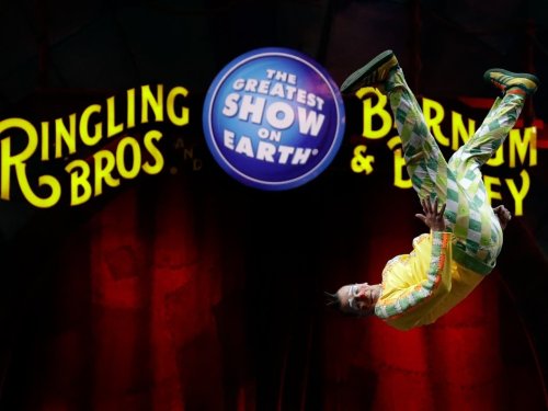 FL-Based Ringling Bros. Announces Comeback Tour Without Animal Acts