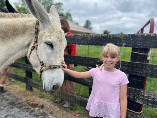 Baby Goats, Donkeys, Strawberries: Loudoun Spring Farm Tour Highlights