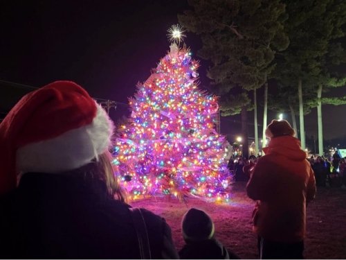 Hillsborough Christmas Tree Lighting Set For 2024