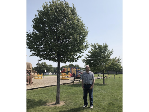 Tree Lafayette Founder Is Dedicated To Keeping Star City Green