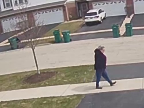 VANISHED: Joliet Woman, 69, Goes On Her Walk, Disappears
