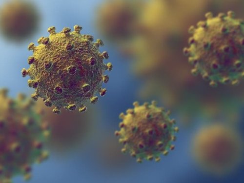 Brazil Variant Of Coronavirus Kills Maryland Traveler: Hogan