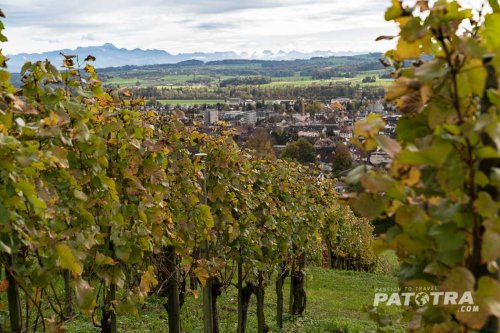 Herbstausflüge im Thurgau - vom Weinweg und anderen (kulinarischen) Entdeckungen