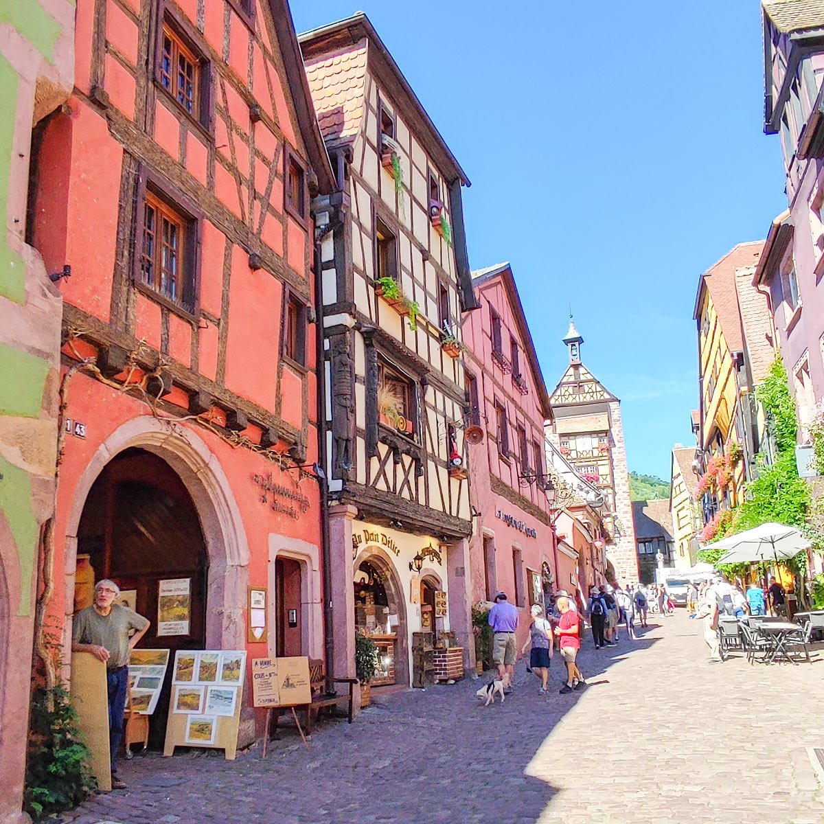 8 Top Things to do in Riquewihr France