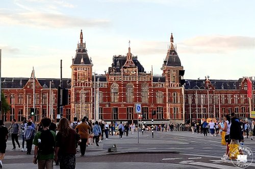 Planning a Trip to Amsterdam? Start with These Essential Guides