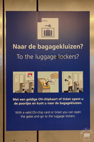 The Main Language in Amsterdam (And How Much English Helps)