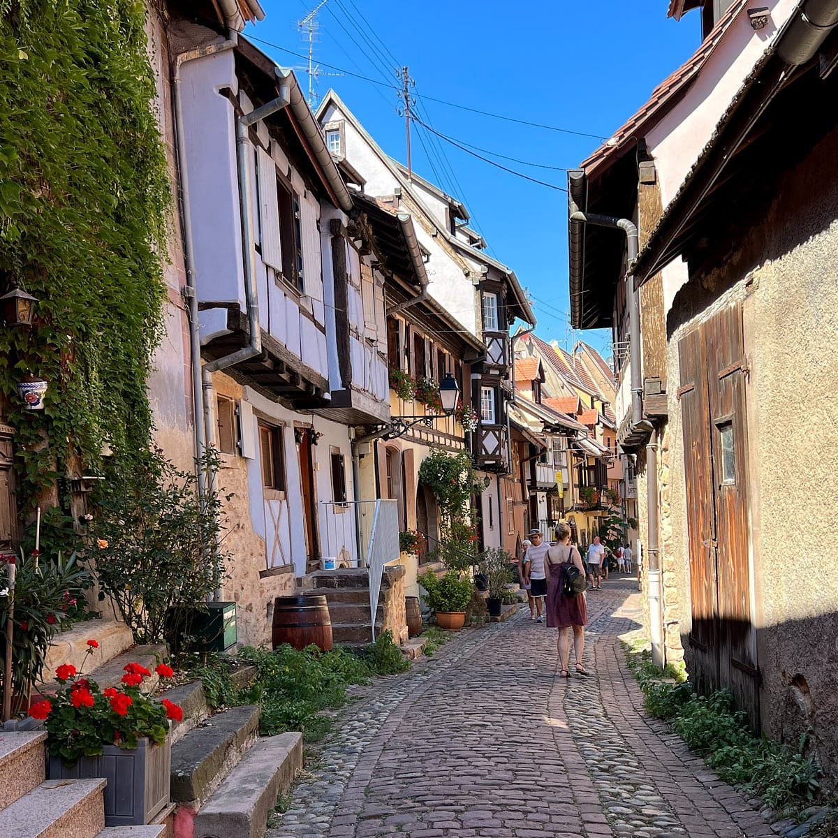 5 Charming Alsace Towns to Visit Near Colmar France
