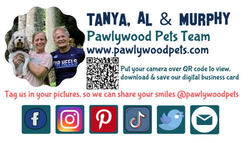 Custom Pet Pillows | Personalized Pet Gifts | Pawlywood Pets