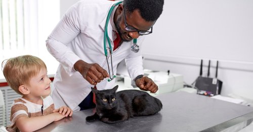 How to find the right veterinarian for your pet