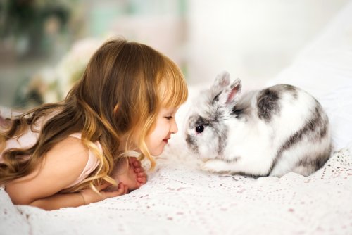 Avoid tears and upset: How to pick the right animal for your kid’s first pet