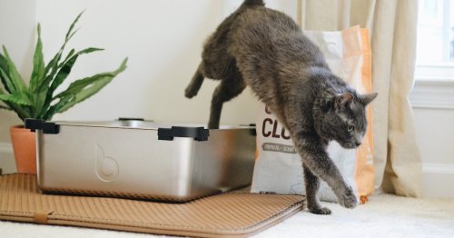 Reddit says the best cat litter is actually… pellets for a Traeger?!