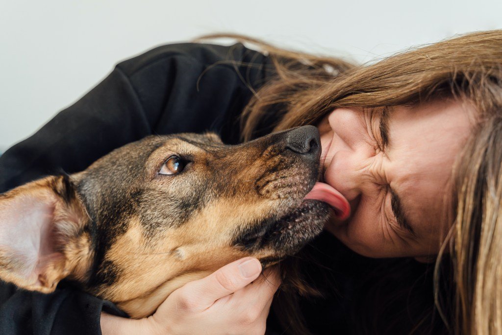 Reasons Your Dog Licks Your Face That Might Surprise You