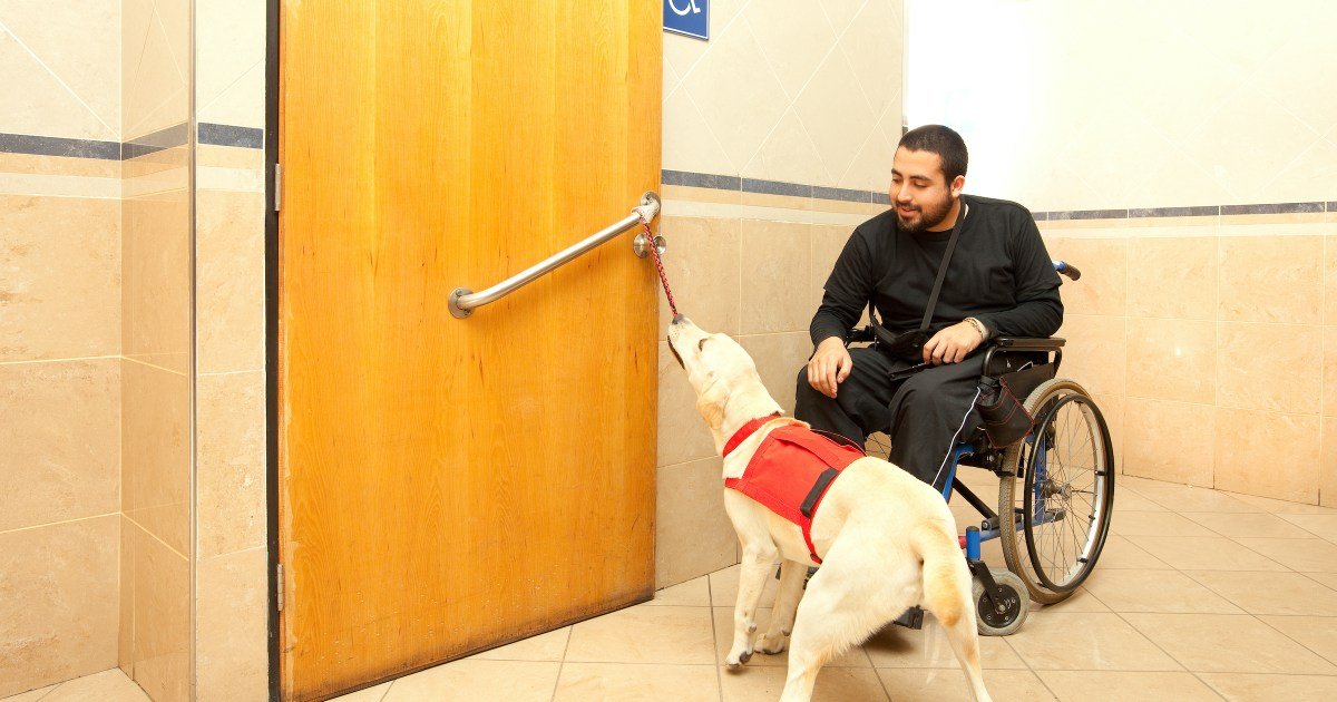 Do I qualify for a service dog? These are the requirements you should know about