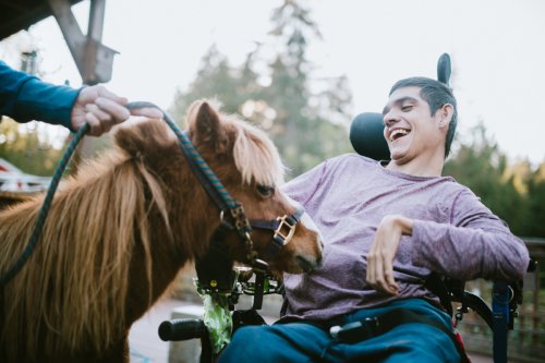 Everything you need to know about equine therapy