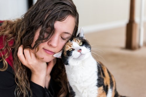 Does your cat headbutt you? This is what your pet is really trying to tell you