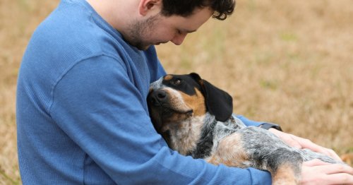 Why does your dog smell bad? Here’s how to fix it