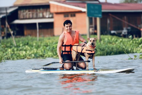 How to teach your dog to paddleboard with you (and get Instagram-famous)