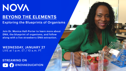 Take a Chemistry Field Trip with NOVA Education