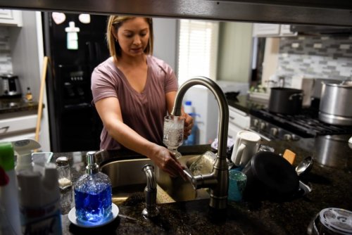 What happened when Calgary removed fluoride from its water supply