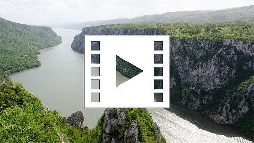 This algorithm creates realistic video from a single photo - DIY Photography