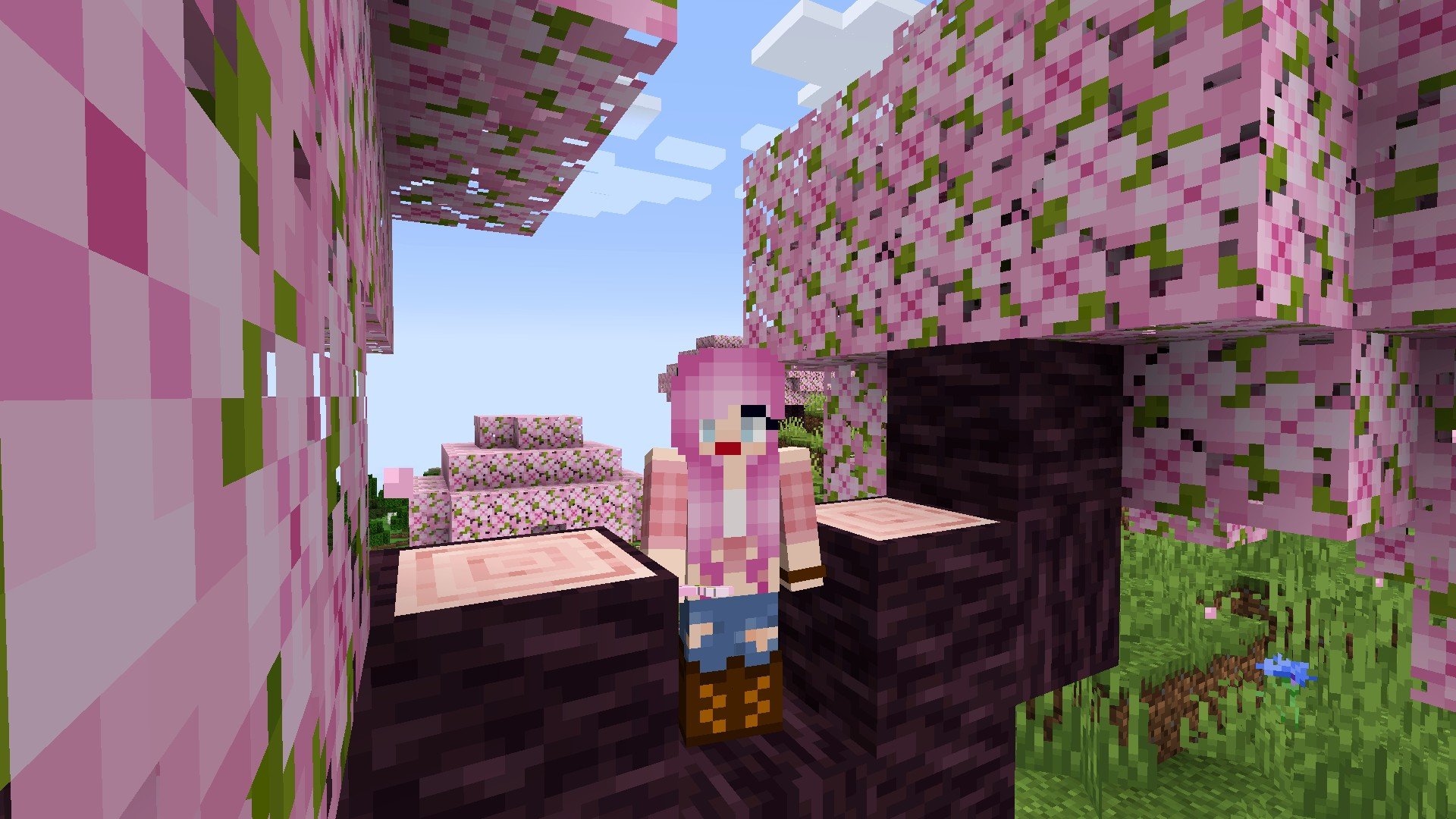 Minecraft cherry blossom biome, trees, and how to play snapshot 23w07a |  Flipboard