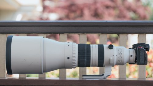 Sigma 300-600mm F4 DG OS Sports Review