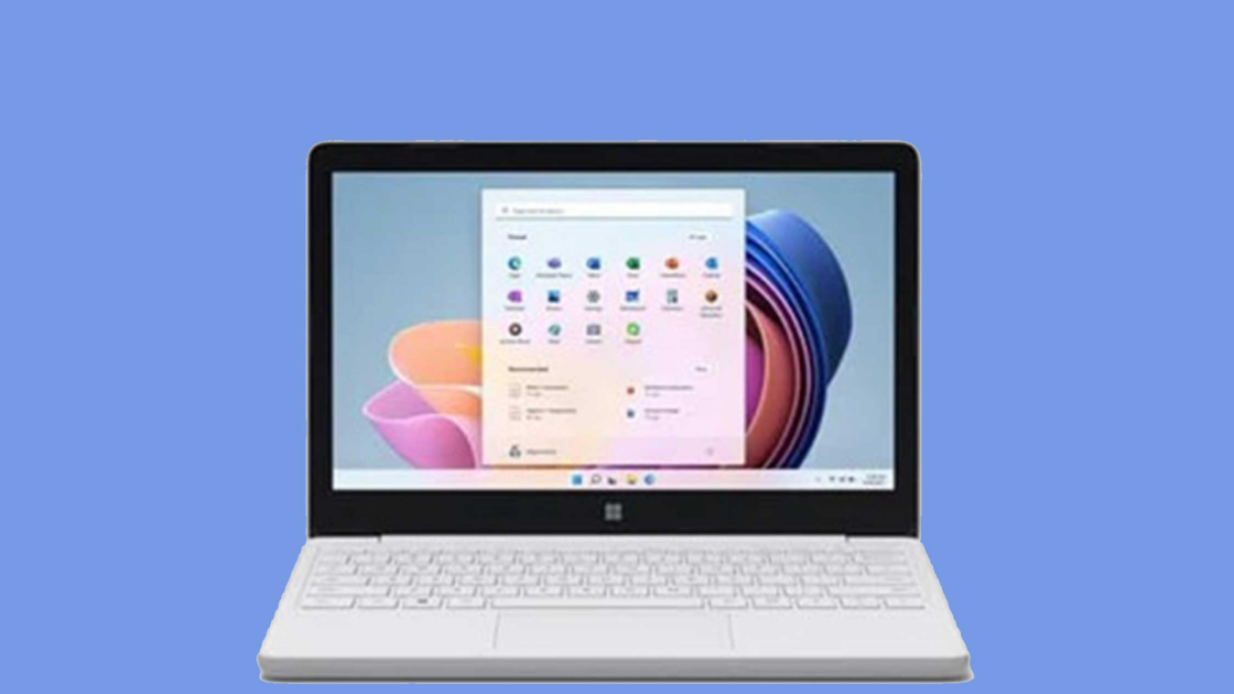 기사 대표 이미지