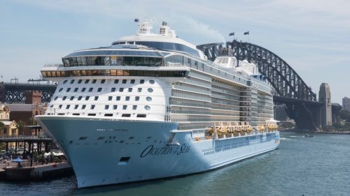 starlink royal caribbean
