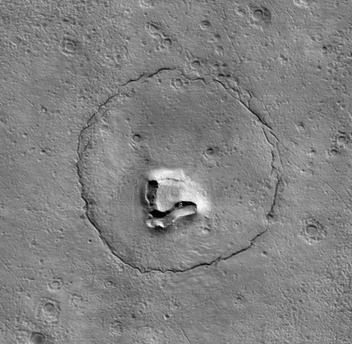 NASA meldet den Fund eines “Bären“ auf dem Mars
