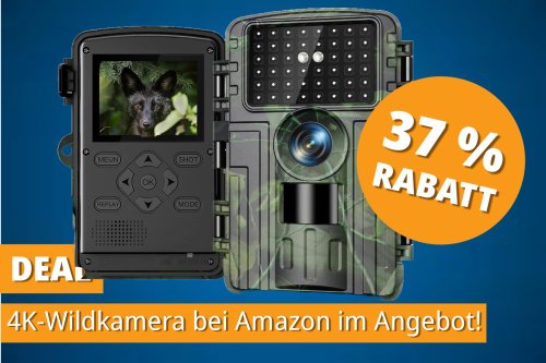 4K-Wildkamera mit Wlan & Nachtsicht – Bestseller jetzt im Angebot!